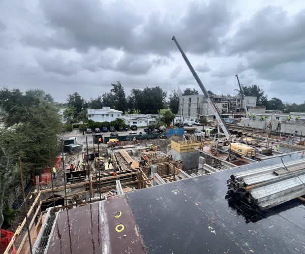 20241011_184226982_iOS