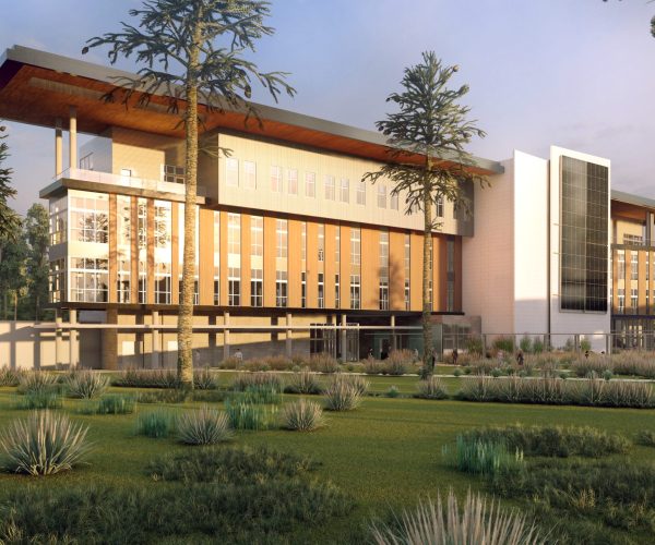 Up to date Rendering