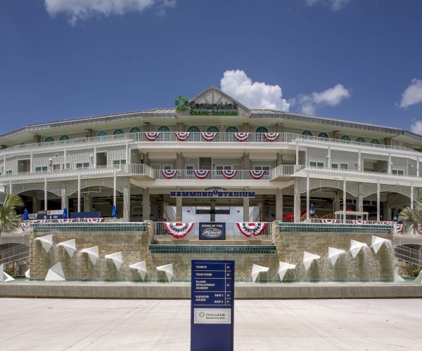 Minnesota Twins Spring Training